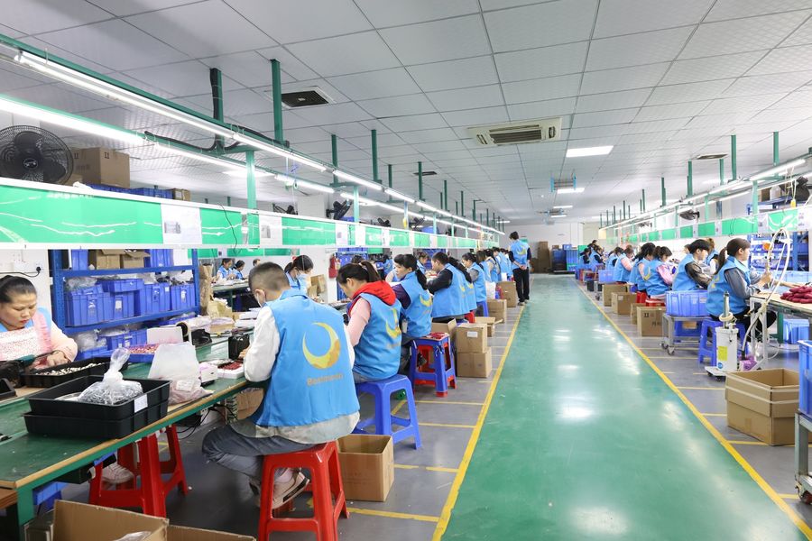 Shenzhen Bestmoon Technology Co., Ltd.